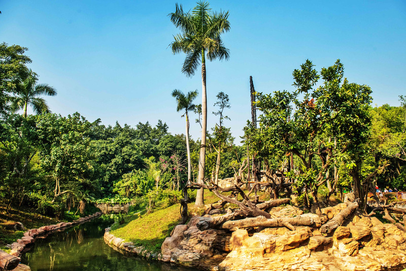 离广州长隆最近的海滩景点,长隆海洋世界王国必打卡景点