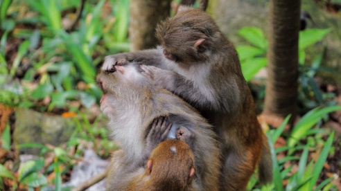 张家界天气预报15天准确旅游攻略,张家界凤凰古城芙蓉镇自驾游攻略