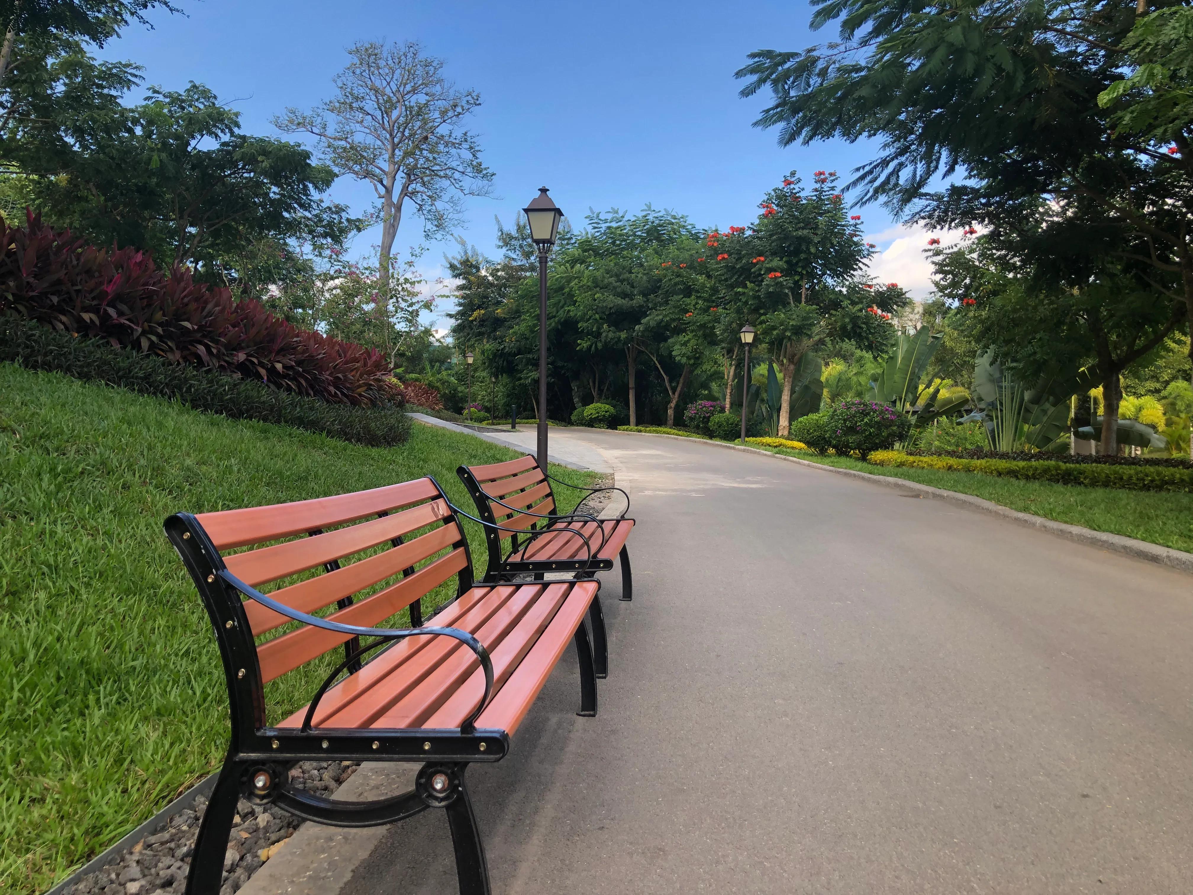 西双版纳旅居租房一室一厅,西双版纳旅居租房攻略万达