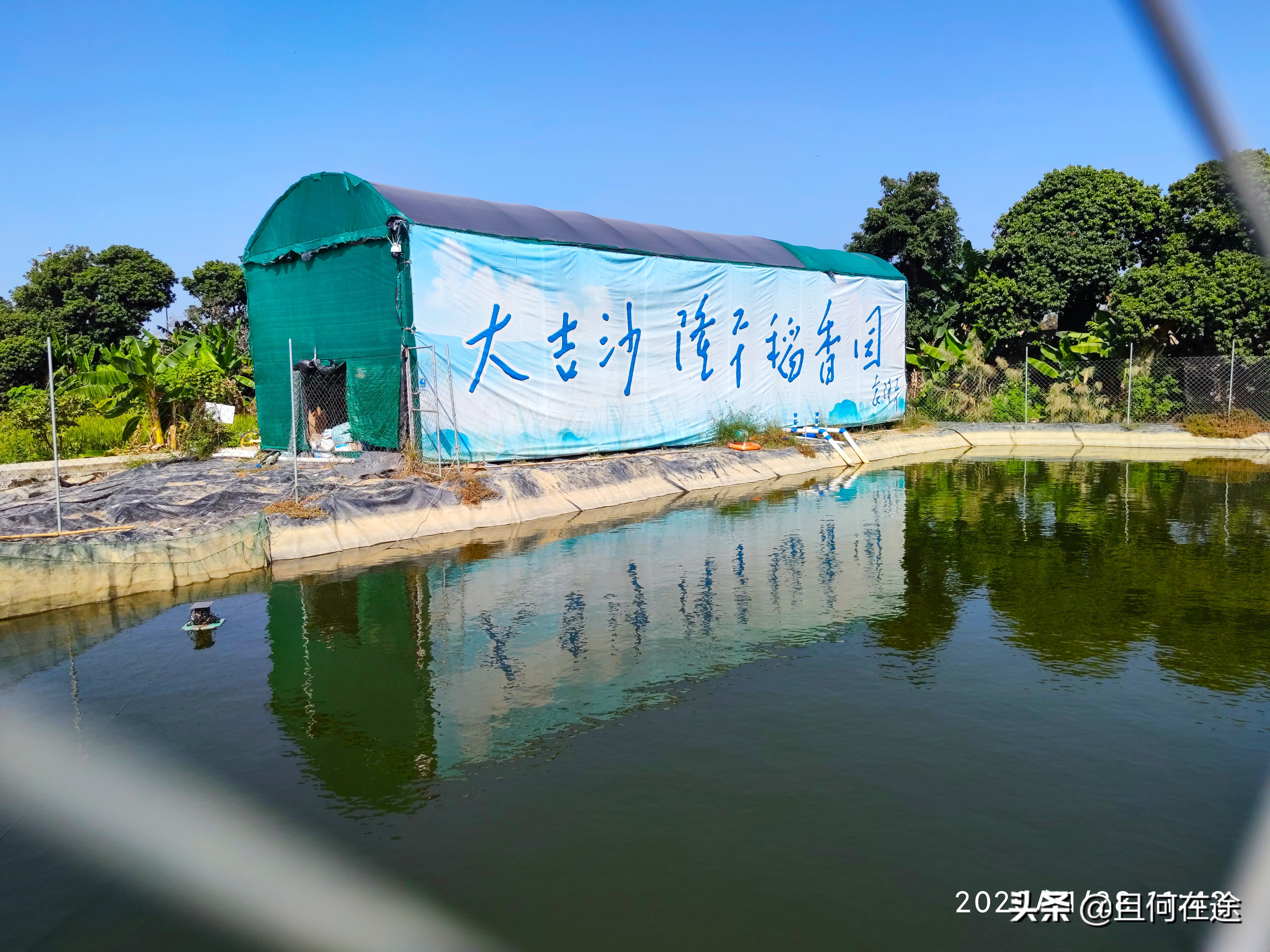 为什么要把饭碗牢牢端在自己手中,怎样才能把自己饭碗端在自己手里