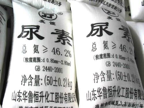 黑坑常撒石灰化肥难倒一片网友，该如何科学破解此难题