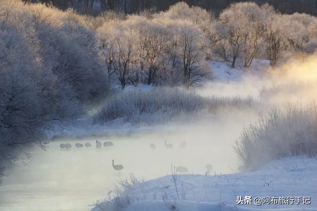去日本才能吃过瘾的岛国本土食材，至少有8种便宜了游客