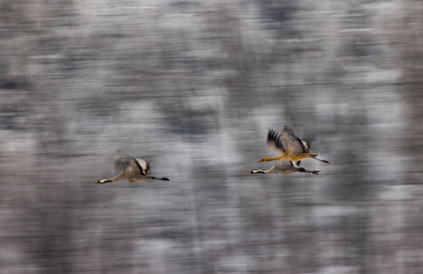 如何用eosr5拍摄视频,eosr5摄影