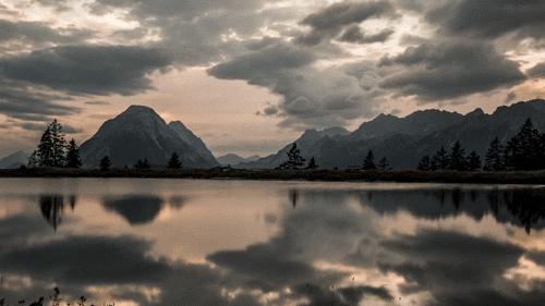 你可能买到假货英语,你可能买到的假货