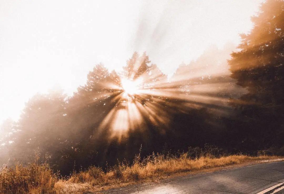 海王星逆行星座运势,海王星逆行水瓶