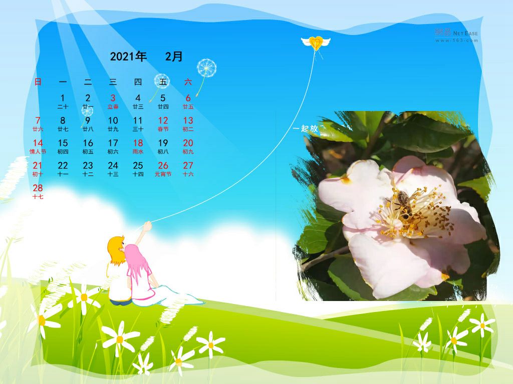 楚雄哪里山上野山茶花多,楚雄彝山茶花