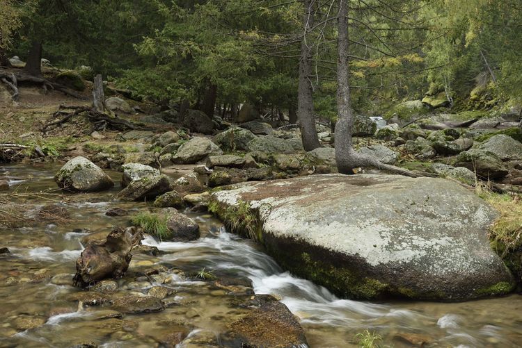 北疆神秘的地方,新疆北疆小众秘境