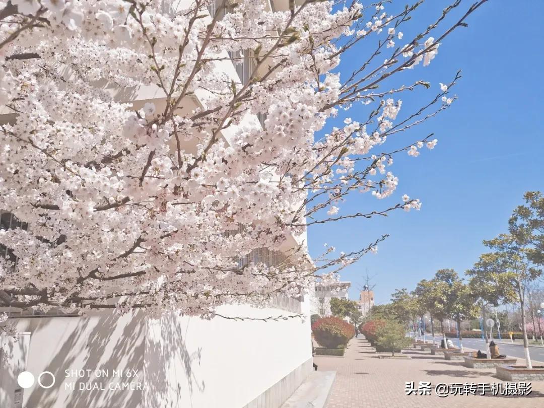 日式小清新调色技巧,文艺小清新调色教程