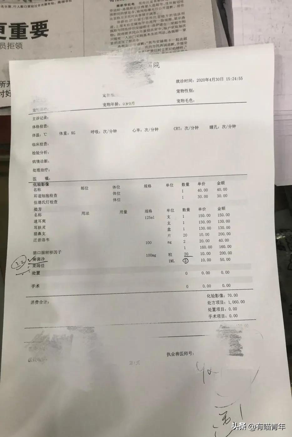 网上买的猫运回来死了,网上买猫三天送到半夜死了
