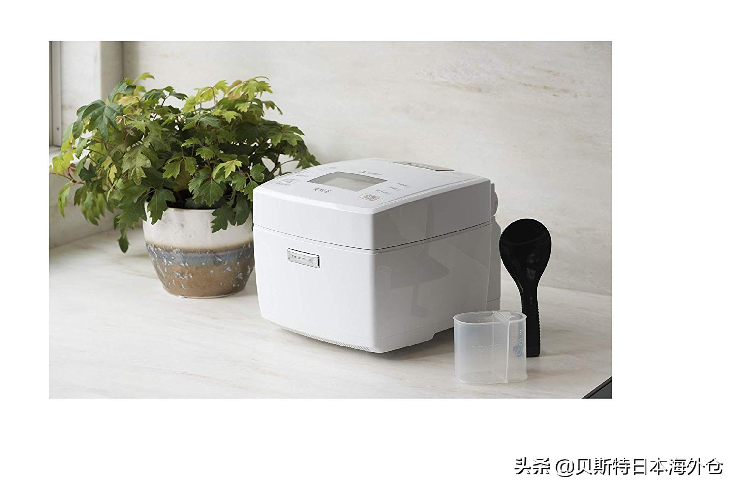 日本电饭锅和韩国电饭锅,日本电饭锅推荐排行第一名