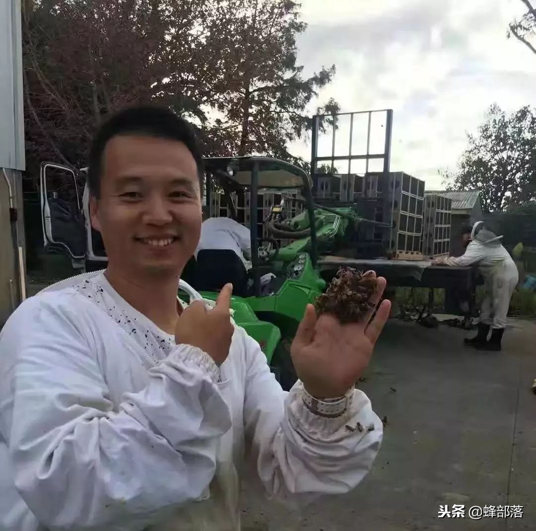 国内养蜂与国外养蜂的区别,中国蜂业与西方养蜂的区别