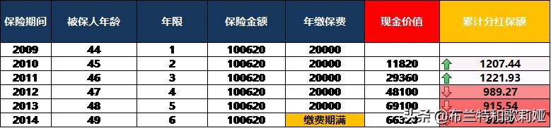 新华保险红双喜c款分红型可靠不,新华保险红双喜金钱柜年金分红型