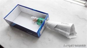 蟑螂成灾教你有效的灭蟑螂,用洋葱灭蟑螂最有效的方法