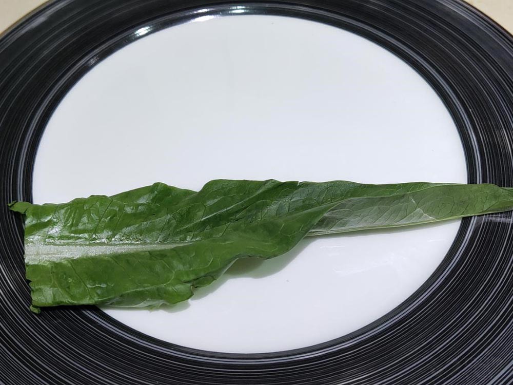 美的545对开门冰箱质量怎么样,美的545净味冰箱