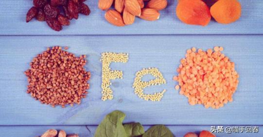 猫咪营养不良贫血需要调理多久,猫咪贫血严重的话会死吗