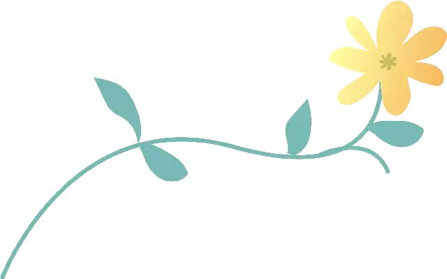 许昌市二中教育集团2019河南省校园足球“省长杯”中再创佳绩