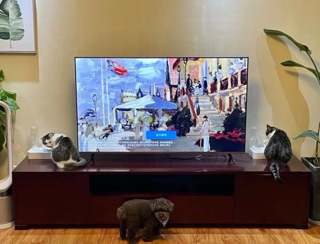 你的专属好物分享,你爱的好物分享