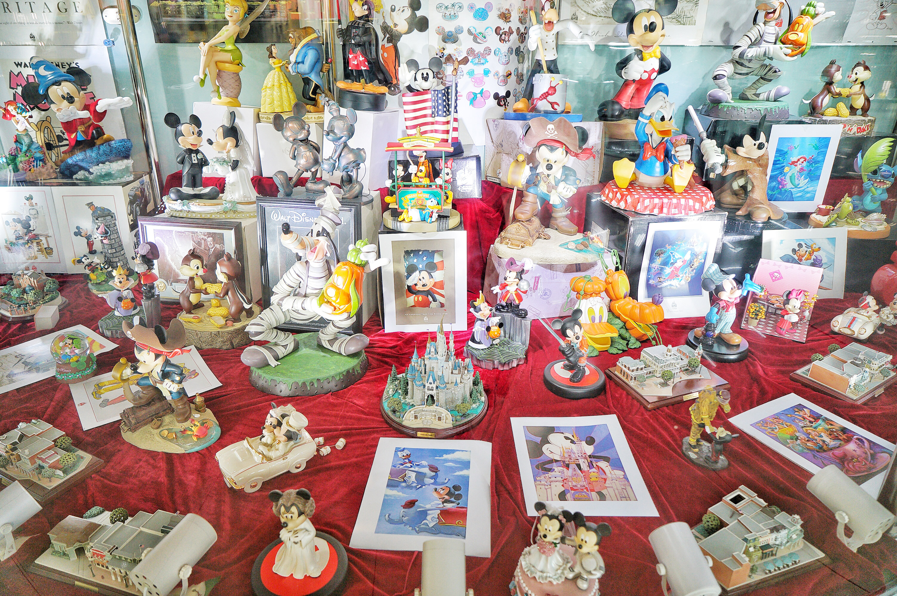 广州粉色浪漫花海,广东秋天粉色花海