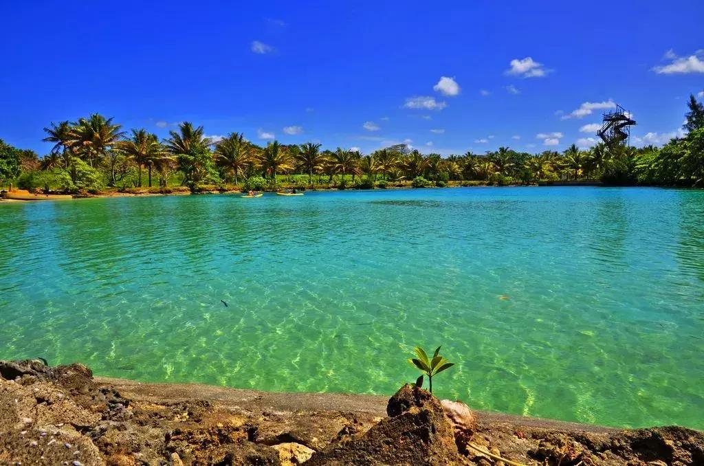 圣基茨护照和瓦努阿图护照,黄金护照现在怎么样了