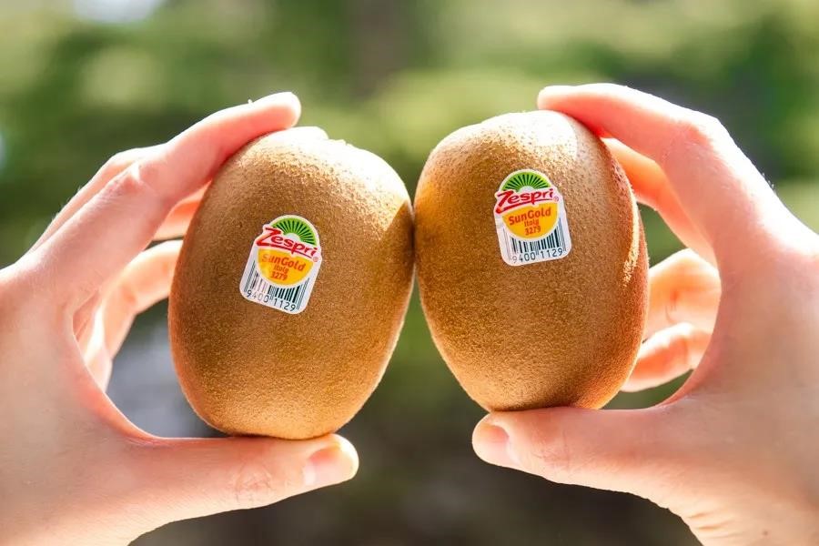 vc为什么越来越难做,vc的重要性是什么