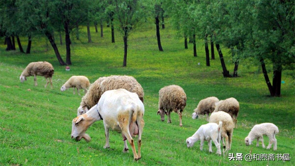 民间故事曾经的土匪,民间故事山匪抢财主