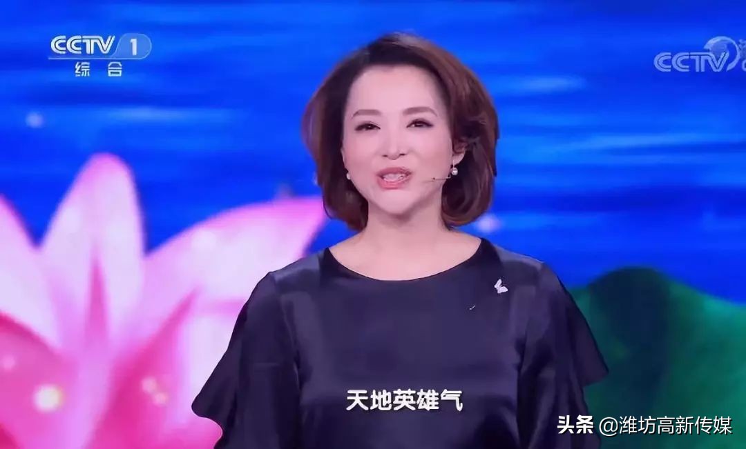 董卿诗词大会经典语录合集,诗词大会董卿经典语录