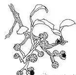 阳台窗帘加窗幔效果,千鸟格窗帘加窗幔