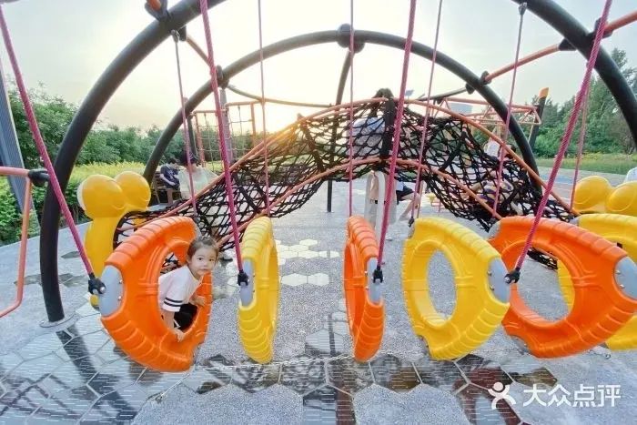 北京哪些公园可以带狗进入游玩,北京适合带宠物玩的地方推荐