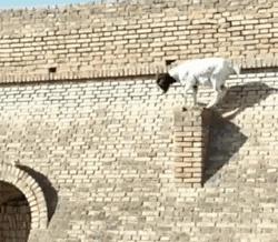 颠覆你认知的16个买房冷知识,广西十大颠覆你认知的冷知识