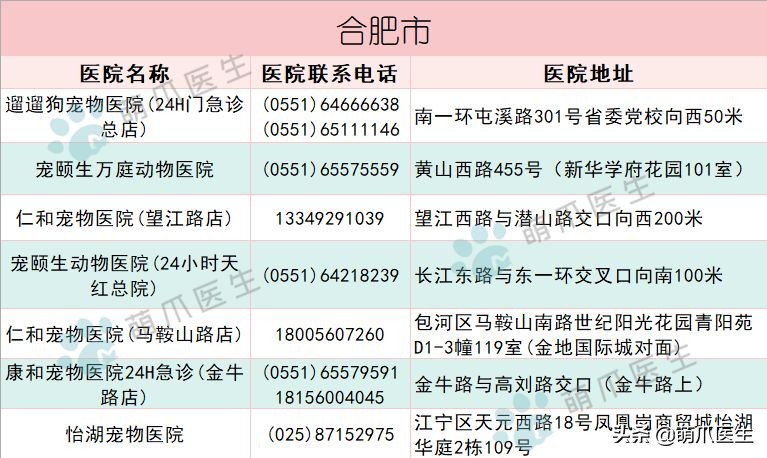 宠物医院必看,不坑的宠物医院推荐