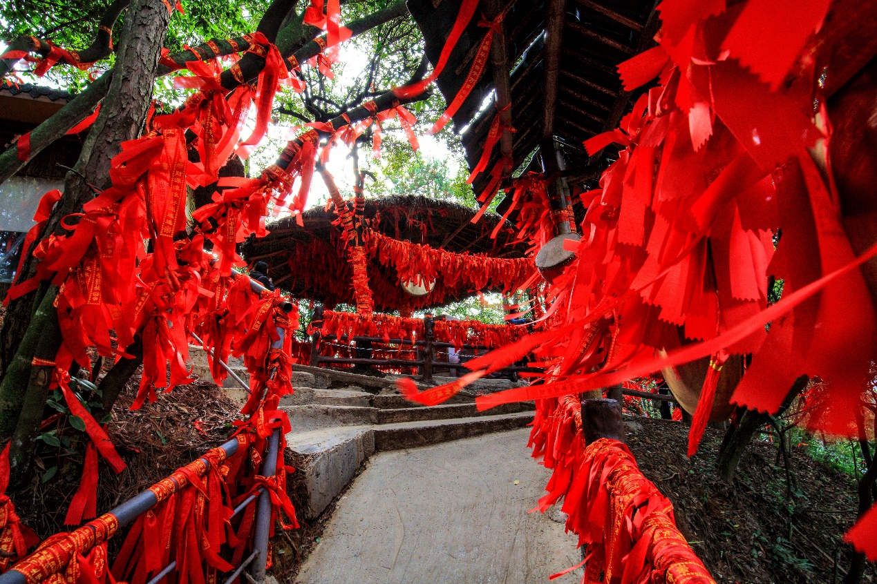 去湖南张家界旅游攻略,长沙张家界凤凰古城四天三晚攻略