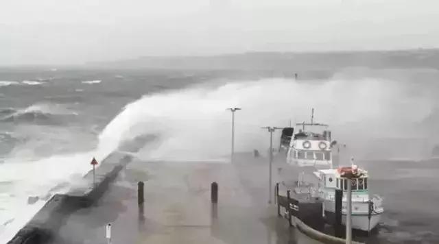 人类面临的生态困境包括哪,生态农业的可能性以及前景