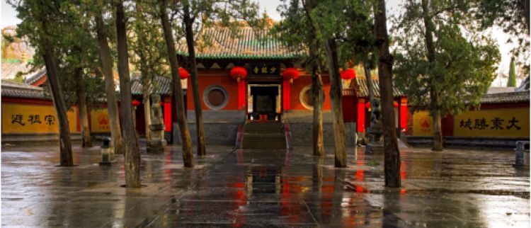 “国际郑”亮相法国《费加罗报》