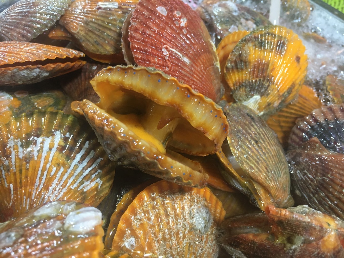 三亚旅游吃海鲜防宰攻略,三亚蜈支洲岛吃海鲜攻略