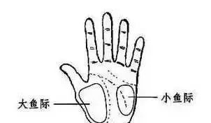 送给中老年朋友的拍打穴位操,人体穴位拍打操30分钟健身操视频