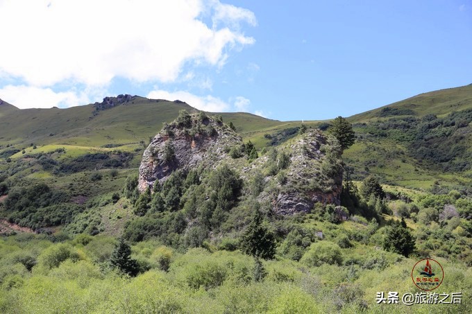 则岔石林风景区值得去吗,碌曲到则岔石林的路好走不