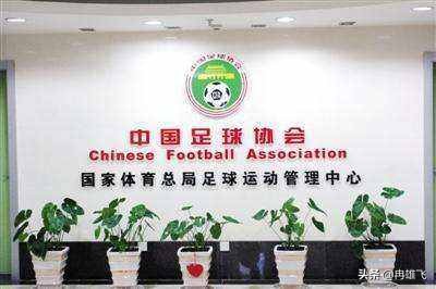 贝尔来过中超吗,贝尔中超之旅成功了吗