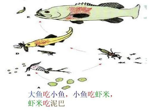 不可忽视小人物,不要忽视微小的力量的名句