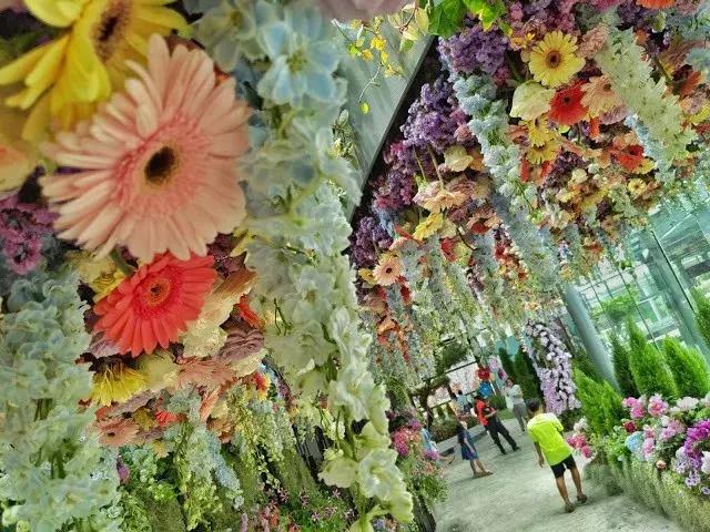 gucci最新活动成都,gucci活动直播名单