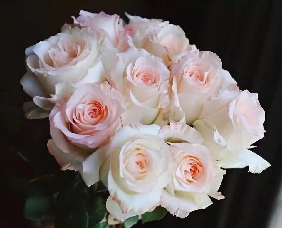 花店热销花,热卖鲜花花束