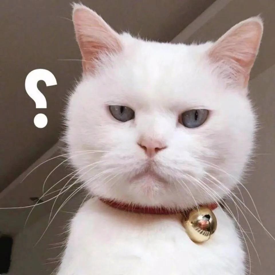 酒后踢别人的车政审有问题吗,酒后踢人家车怎么处罚