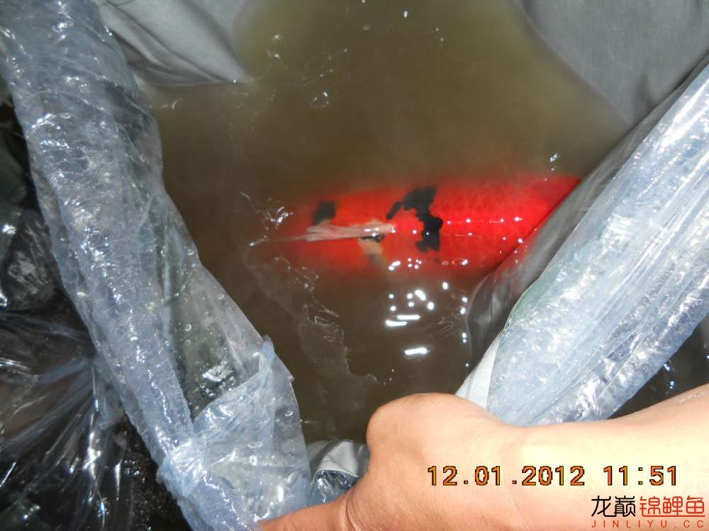 开渔场赚钱吗,开渔场需要多少资金