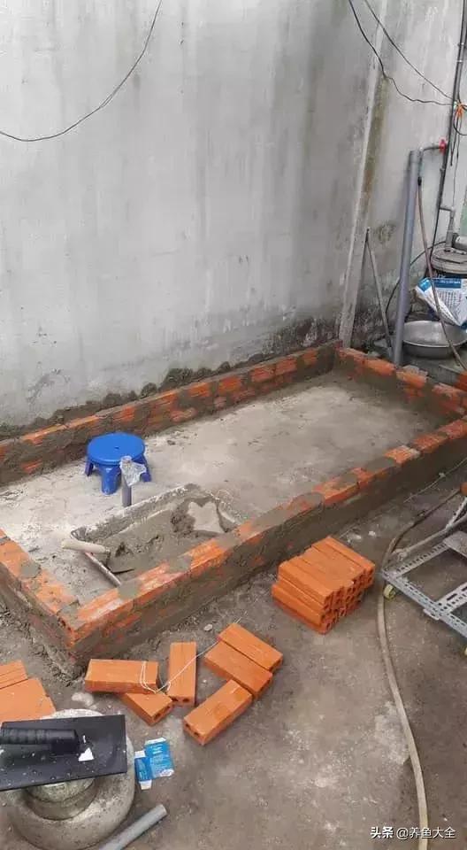 建一个锦鲤池要多少钱,园林锦鲤池建造