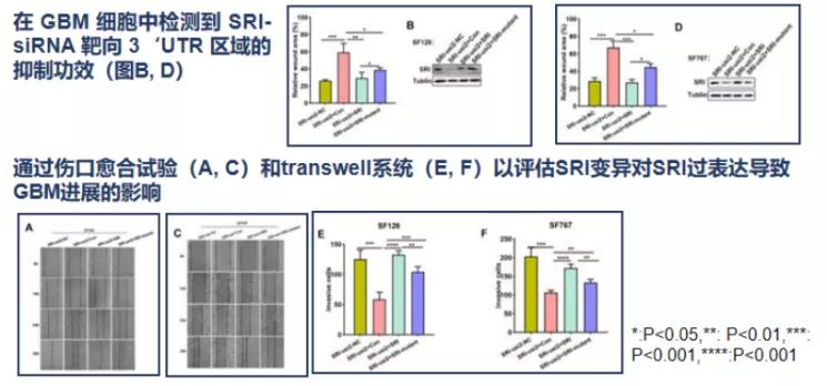 免疫治疗胶质瘤最新进展,胶质瘤能用靶向药物治疗吗