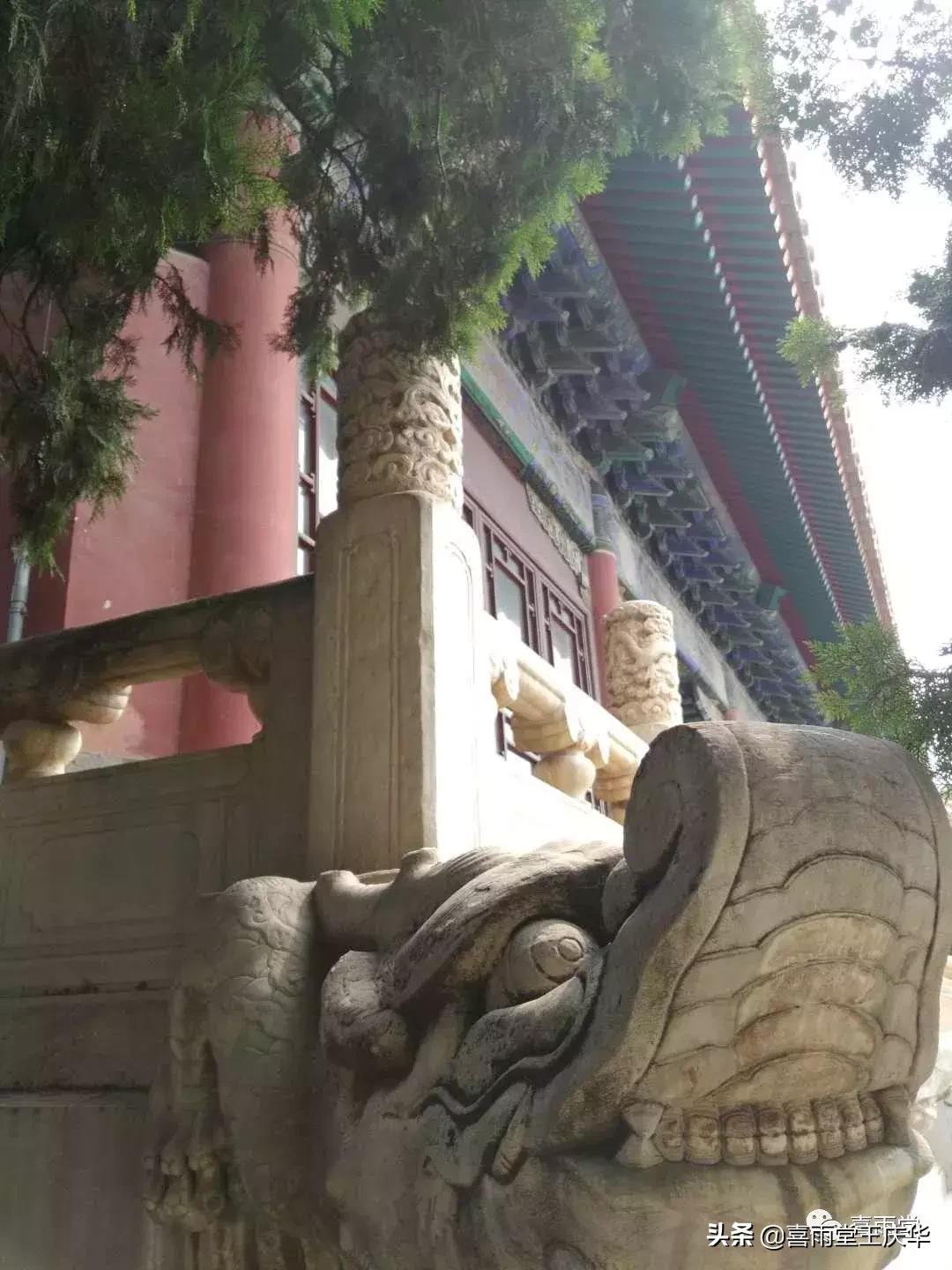 草原行蔚县,内蒙古草原行