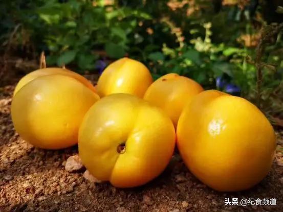 犹如个大饱满的“黄水晶”,这个桃,咬一口,甜过初恋