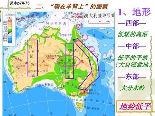 澳大利亚冷知识，独特的动物，你知道几个？