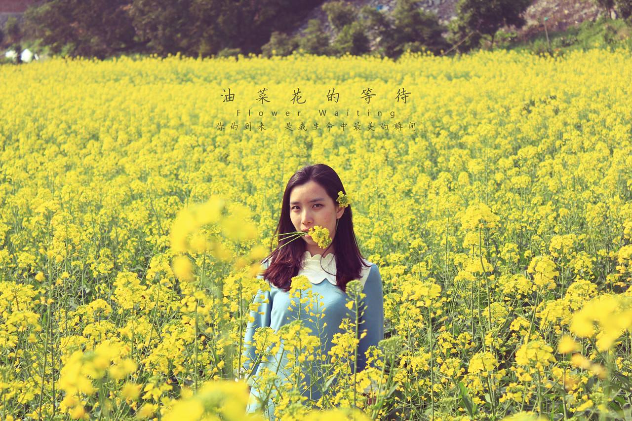 再过半个月，全国人民都将羡慕南阳