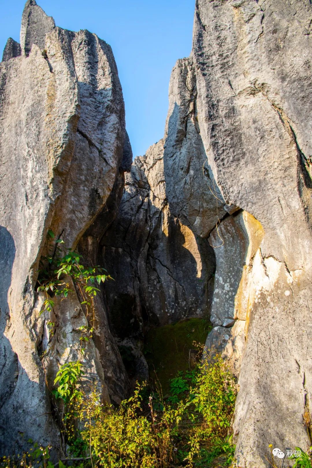 周游西南随记(六)弥蒙的万峰林