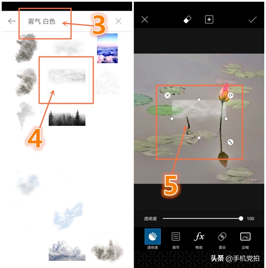荷花开放加人像特效,荷花特效加照片